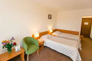 Отель Hotel Poienița Бэйле-Феликс Двухместный номер с 1 кроватью или 2 отдельными кроватями-2
